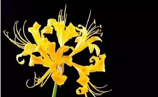 1573975319189637.jpg 2.jpg