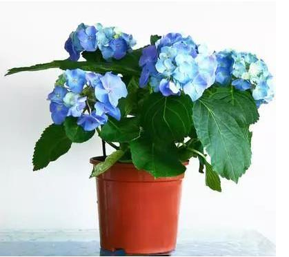 1573975092257628.jpg 01.jpg