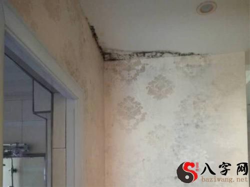 梦见楼上往自己家漏水