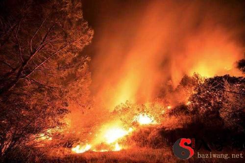 梦见森林着火