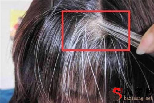 梦见自己的头发白了